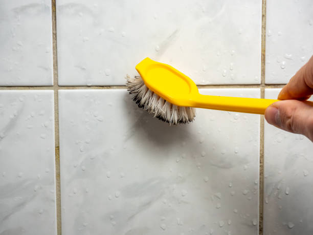 Best Commercial Mold Removal  in Gillette, WY