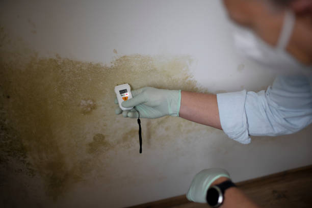 Best Water Damage Restoration  in Gillette, WY