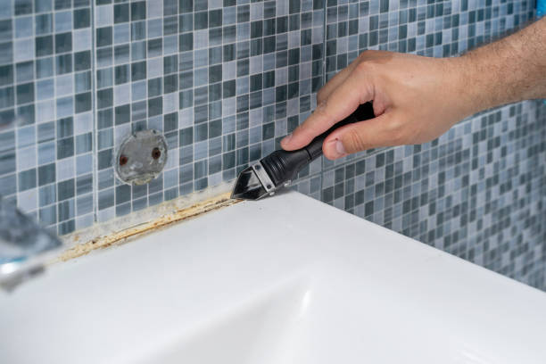 Best Professional Mold Removal  in Gillette, WY