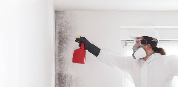 Best Mold Testing  in Gillette, WY