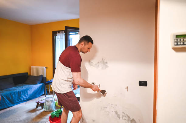 Best Emergency Mold Removal  in Gillette, WY